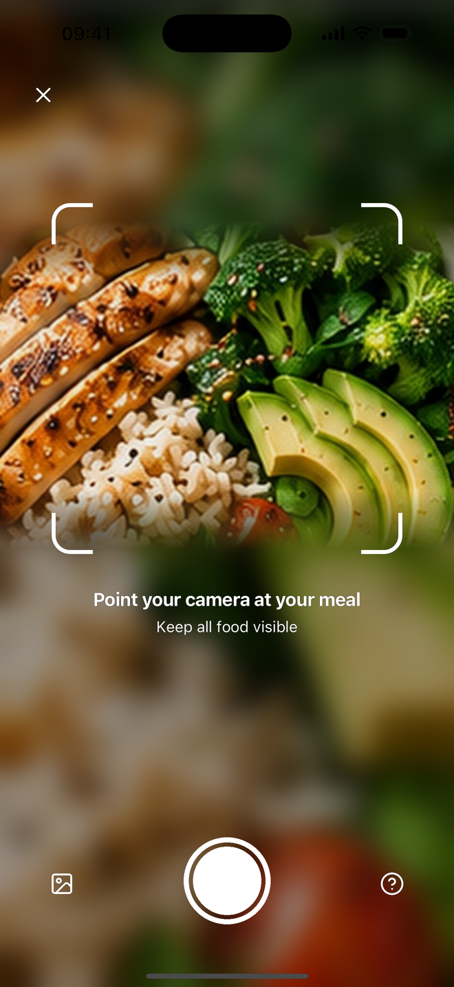 MacroSnap camera screen framing a meal